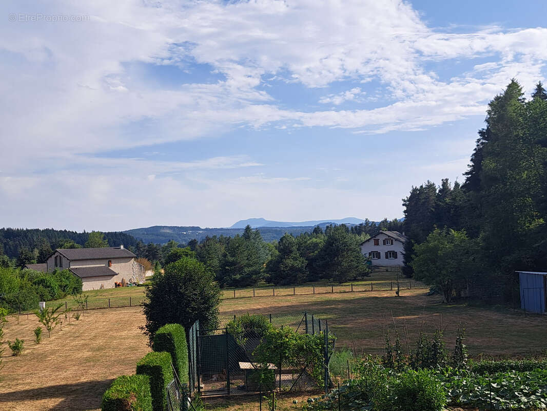 Chambon sur Lignon maison d'habitation sur 1860 m2 de terrain vue Mezenc - photo 3