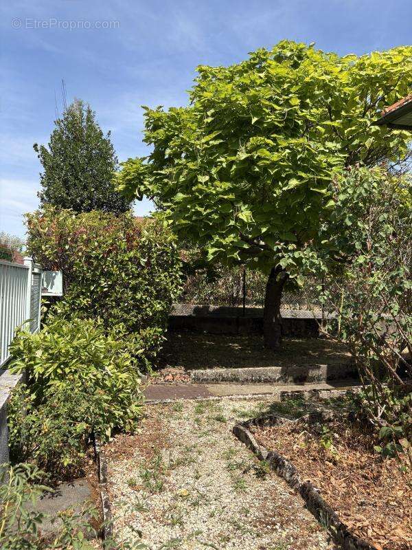 Maison 66 m² à Perrigny-Les-Dijon  - photo 8