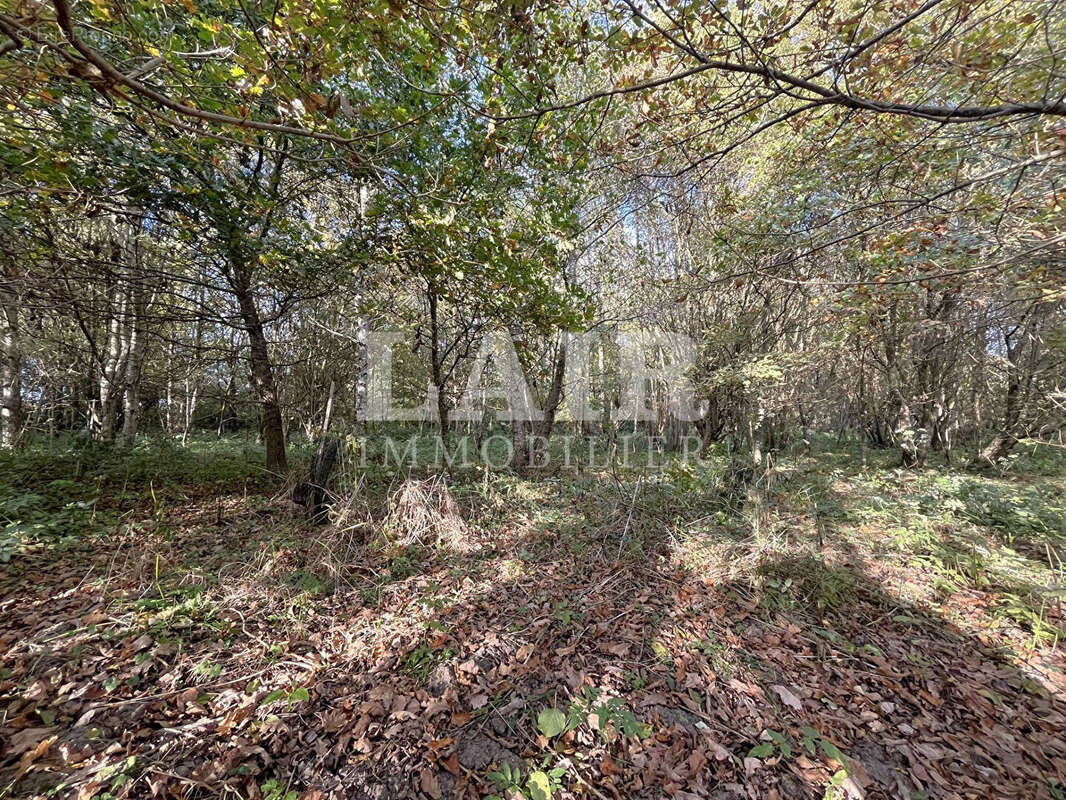 Terrain à SAINT-AQUILIN-DE-CORBION