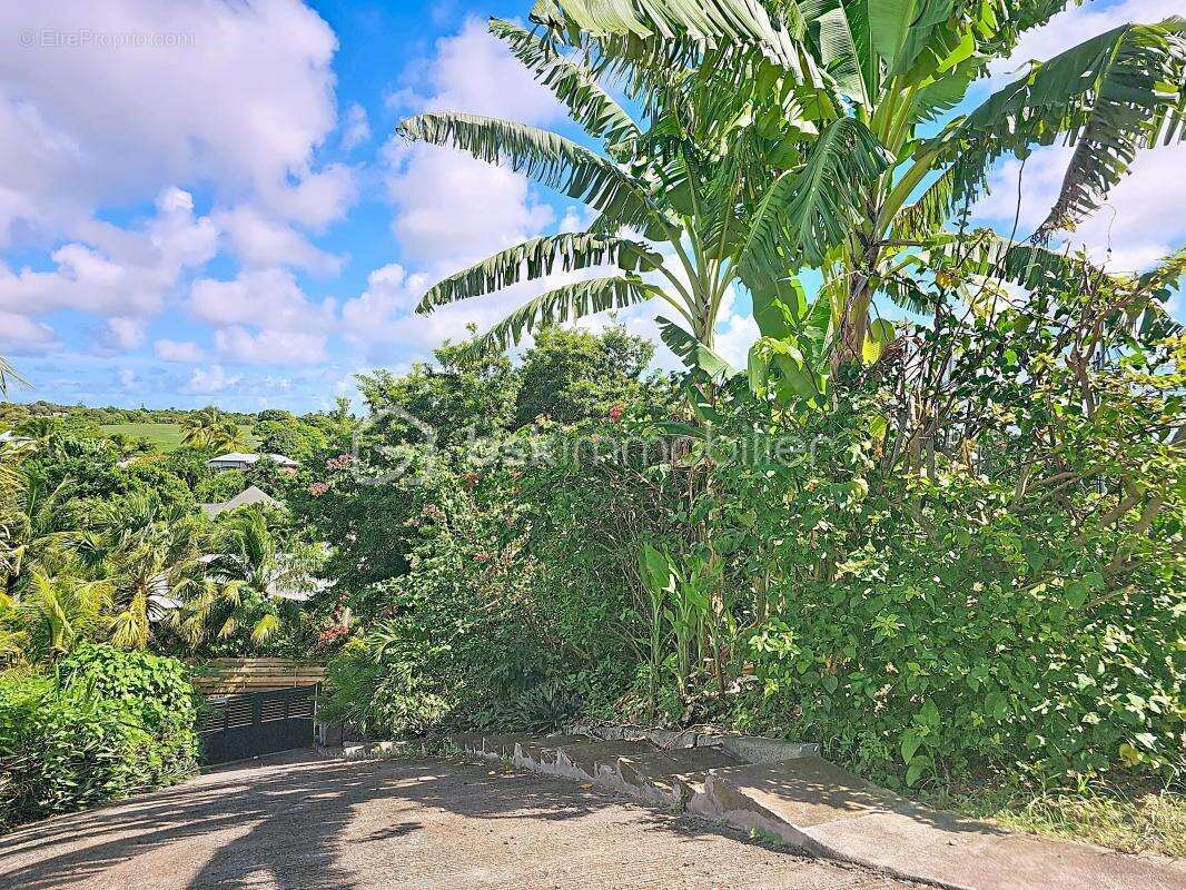 Maison à SAINTE-ANNE