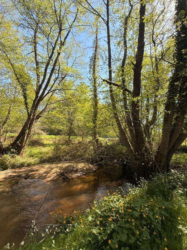 MAGNIFIQUE Moulin de Peurousseau 142m², 4 chambres sur terrain de 4663m² 149 000 € - photo 67