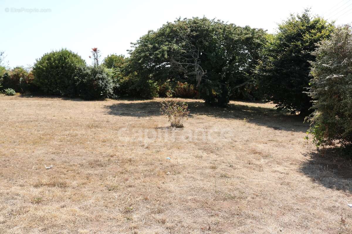EXCLUSIVITE Maison à vendre 6 pièces PLOUHINEC (29) 4 chambres de 143 m2 sur un terrain de 1373 m2 - photo 14