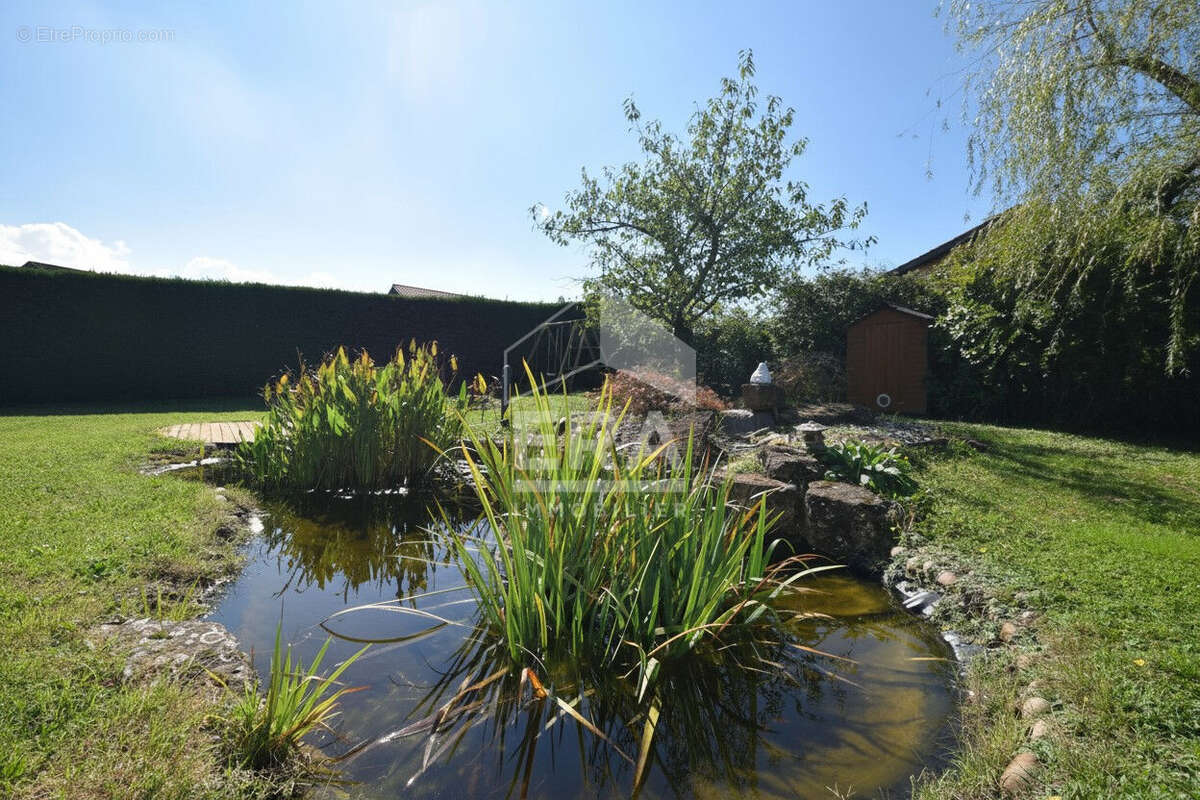 Maison à CHAZAY-D&#039;AZERGUES