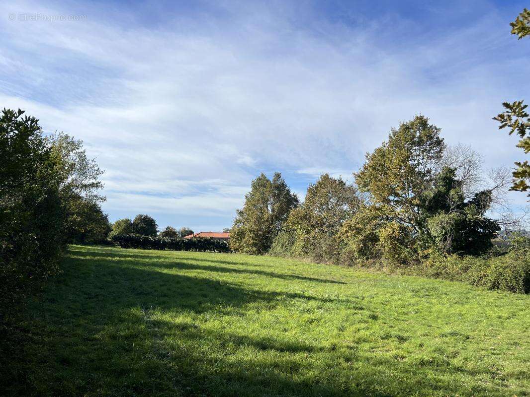 Terrain à SAINT-NICOLAS-DE-LA-GRAVE