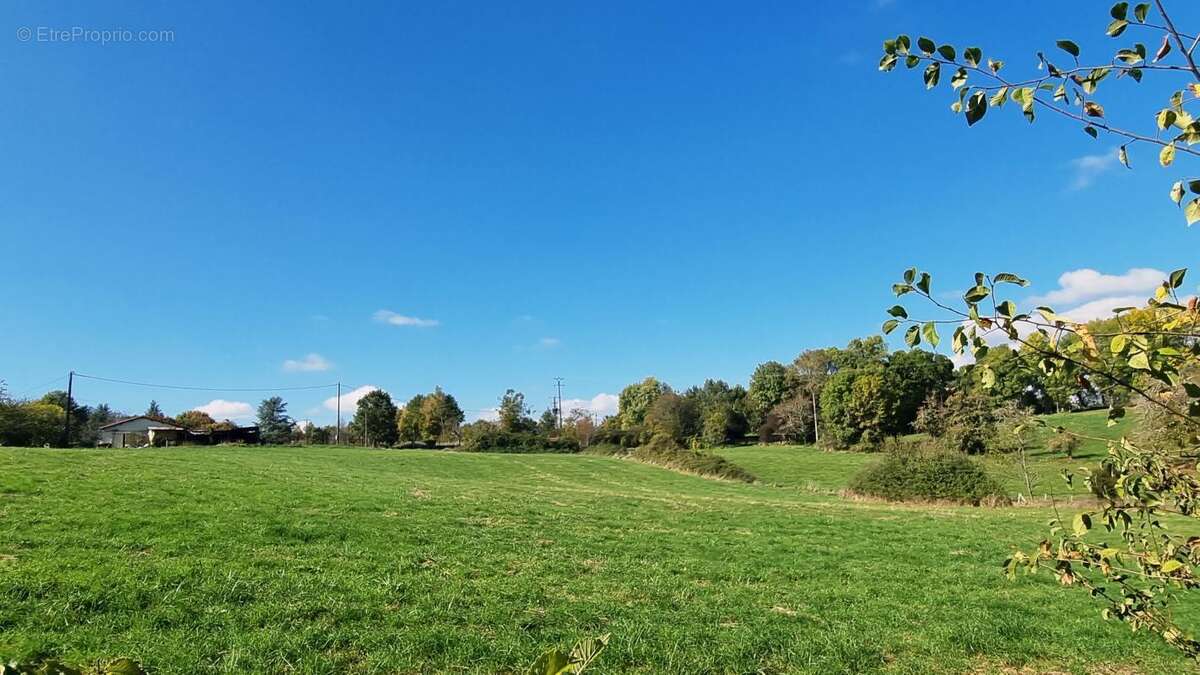 Terrain à SAINT-MARTIN-DES-COMBES