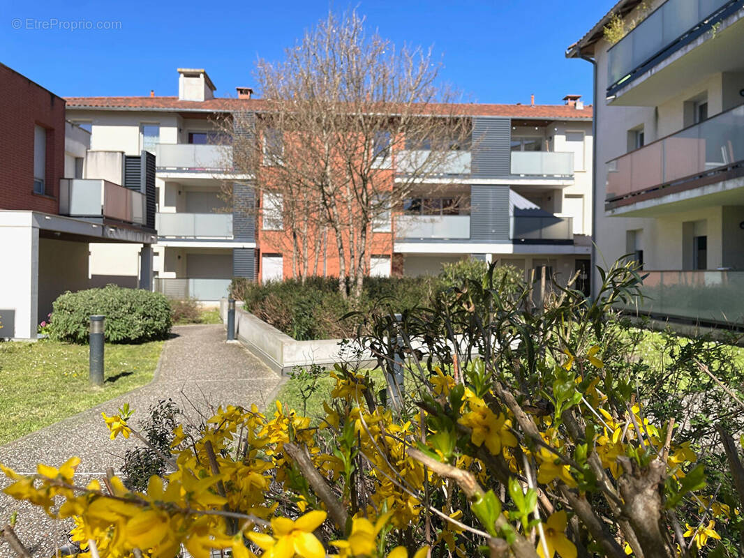 Appartement à SAINT-JEAN