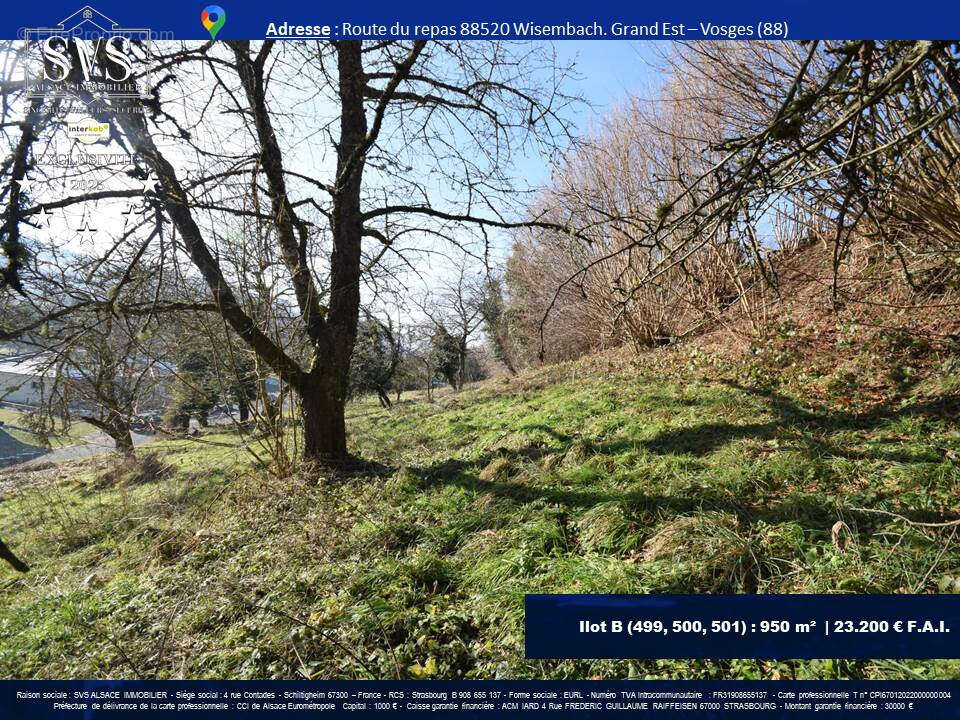 Terrain à WISEMBACH