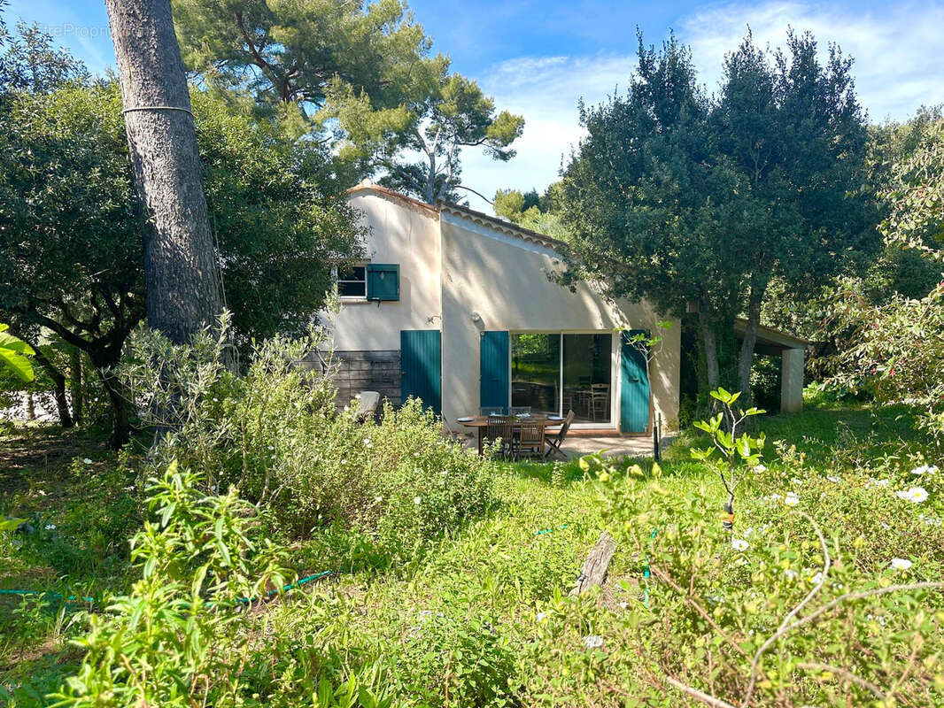 Maison Presqu'île de Giens - Village et plage à pied - photo 7