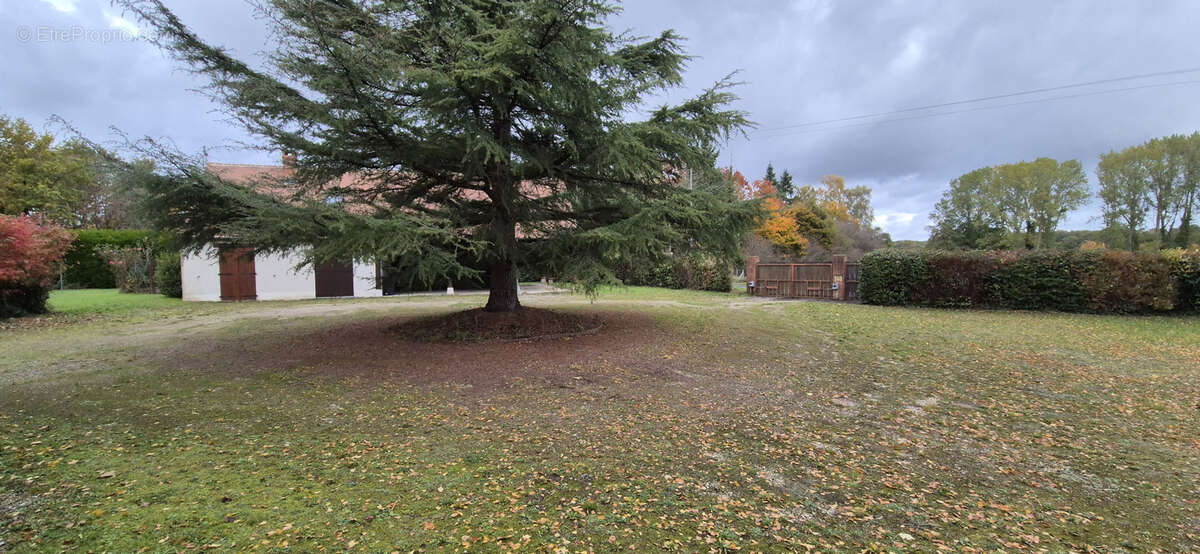 Maison à LAILLY-EN-VAL