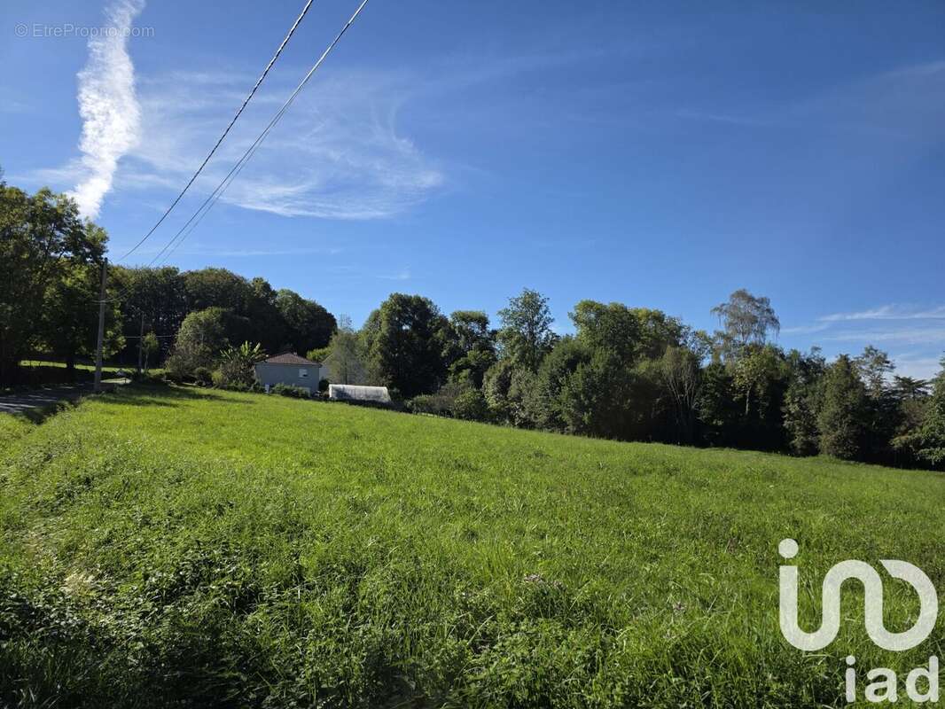 Photo 2 - Terrain à TARBES