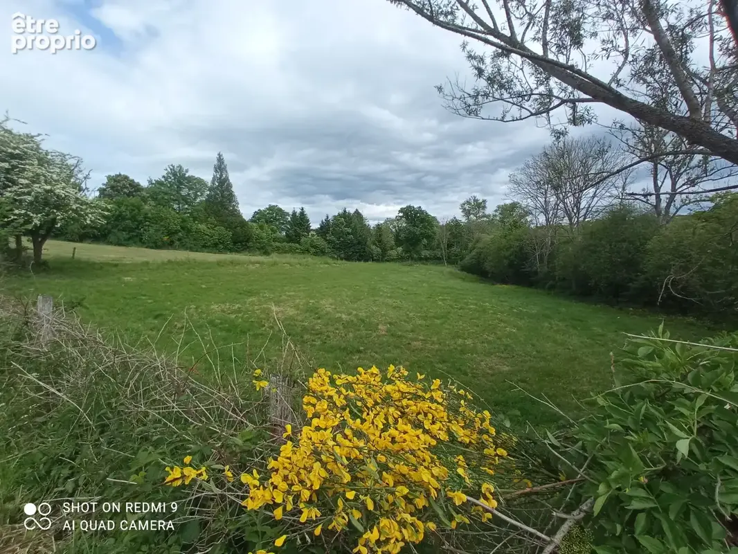 Terrain à BROMONT-LAMOTHE