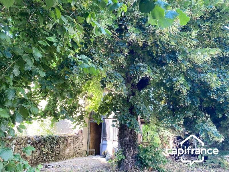 Maison à vendre 3 pièces MERLAS (38) 62 m2 , 2 Chambres, terrains 1800 m2 - photo 2