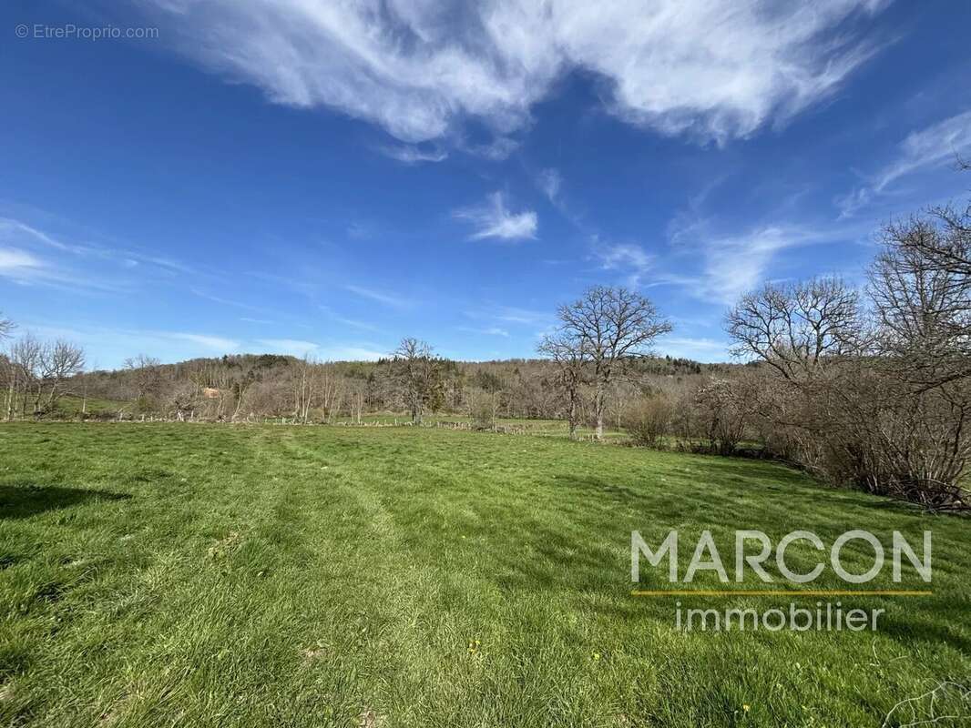 Maison à CHAMPAGNAT