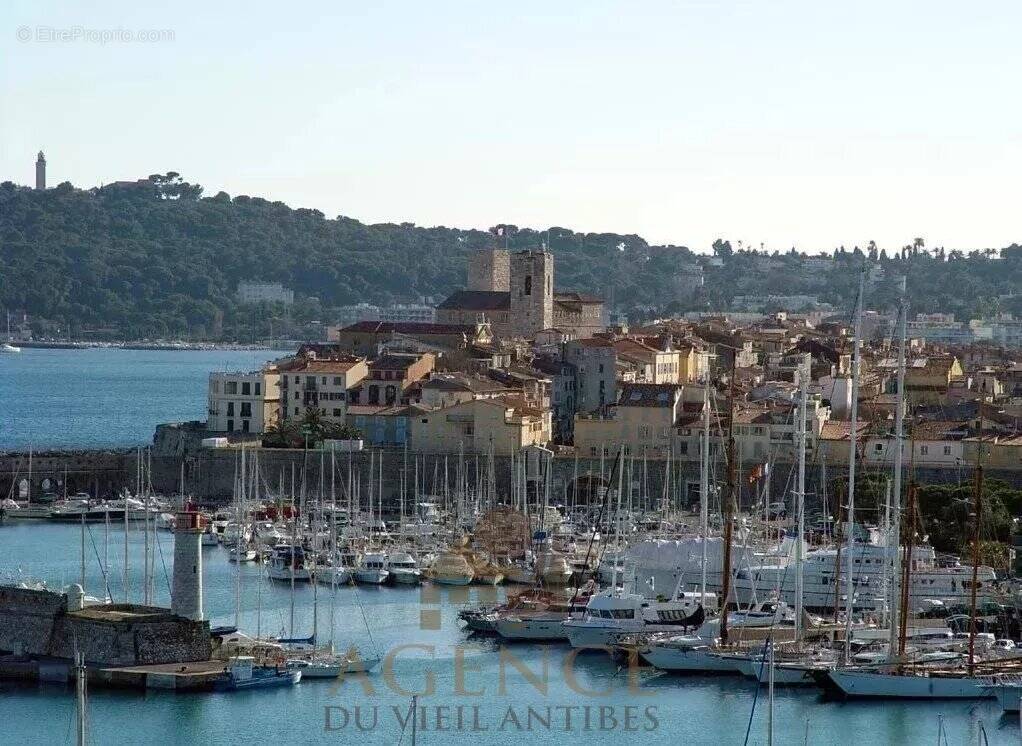 Commerce à ANTIBES