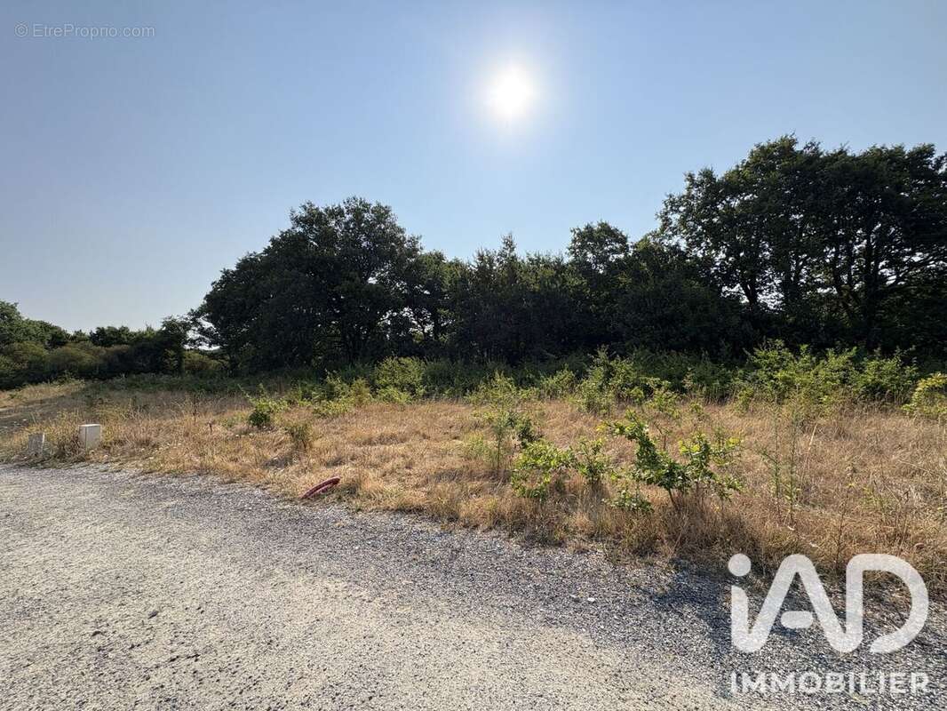 Terrain 420 m² à Pornichet  - photo 2