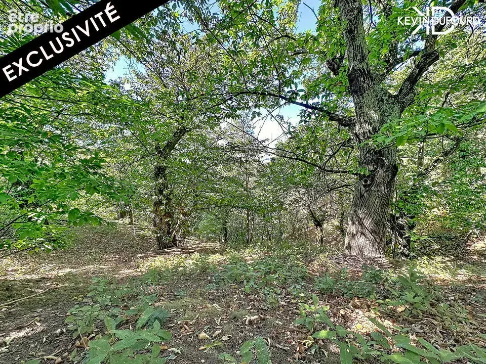 Photo Terrain à Saint-Joseph-Des-Bancs au prix de 55 000€