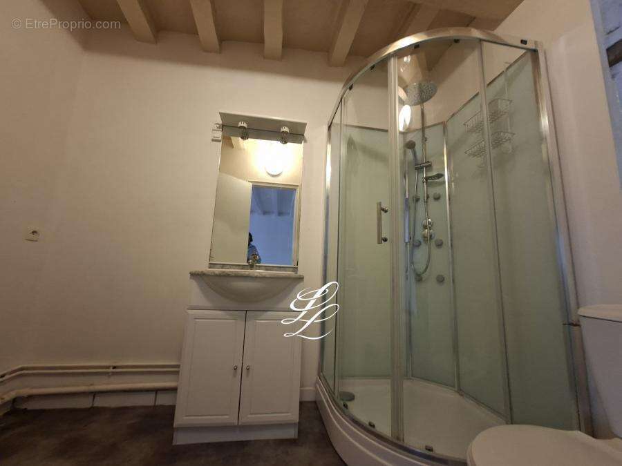 Maison 58 m² à Saint-Denis-D'orques  - photo 405