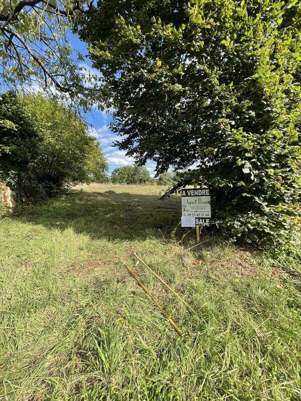Terrain à SAINTE-SABINE-BORN