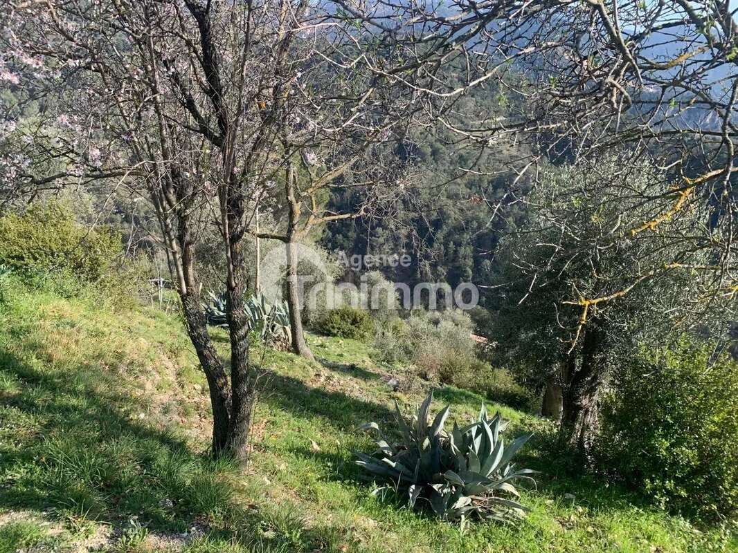 Maison à L&#039;ESCARENE