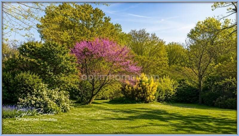 Exceptionnel à léognan, limite gradignan – propriété de caractère sur plus de 1,3 hectare de nature - photo 18