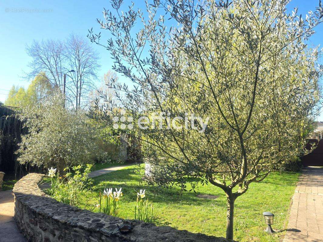 Maison ancienne - photo 7