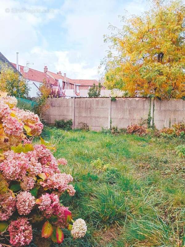 Photo 5 - Maison à HESDIN