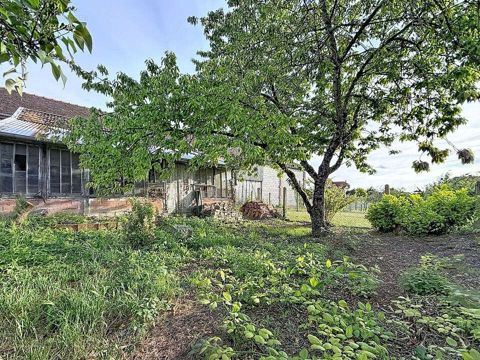 Maison de campagne - photo 13