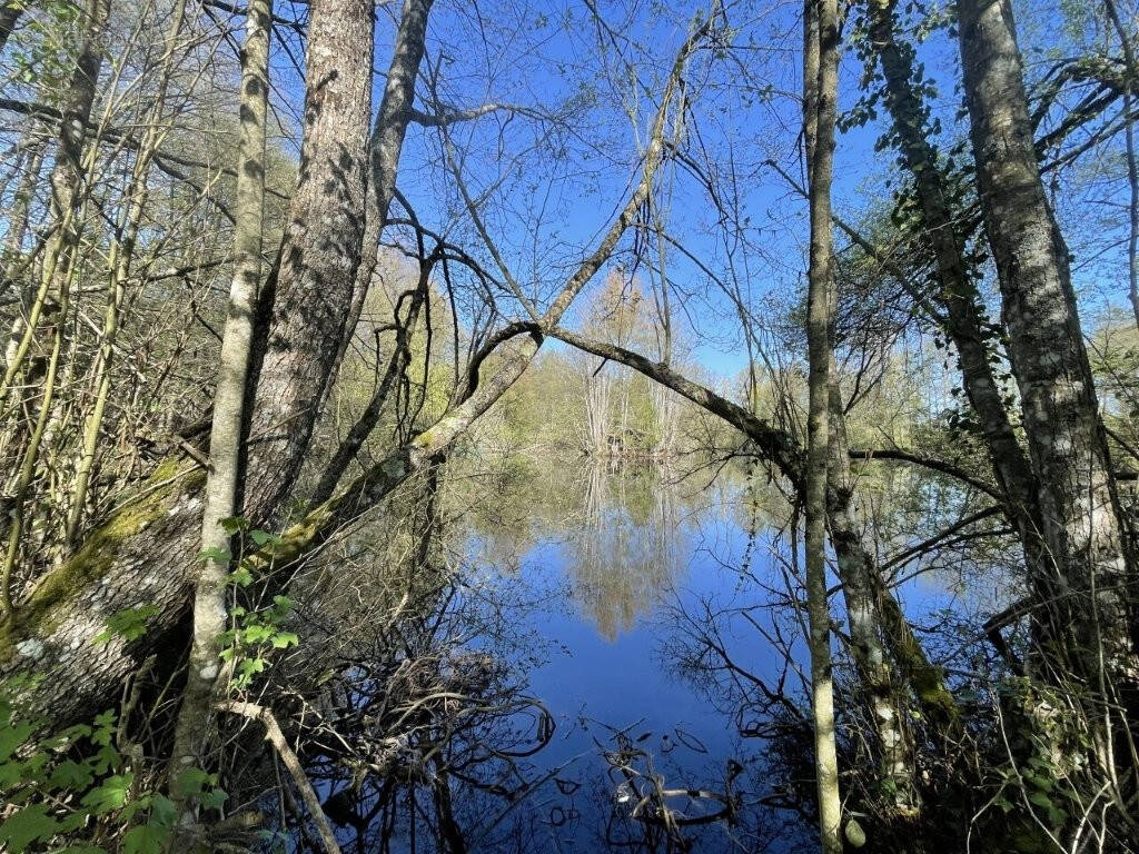 Terrain à AUTHON-DU-PERCHE