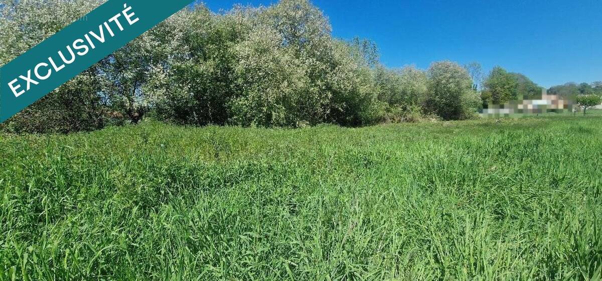 Photo 1 - Terrain à SOUEICH