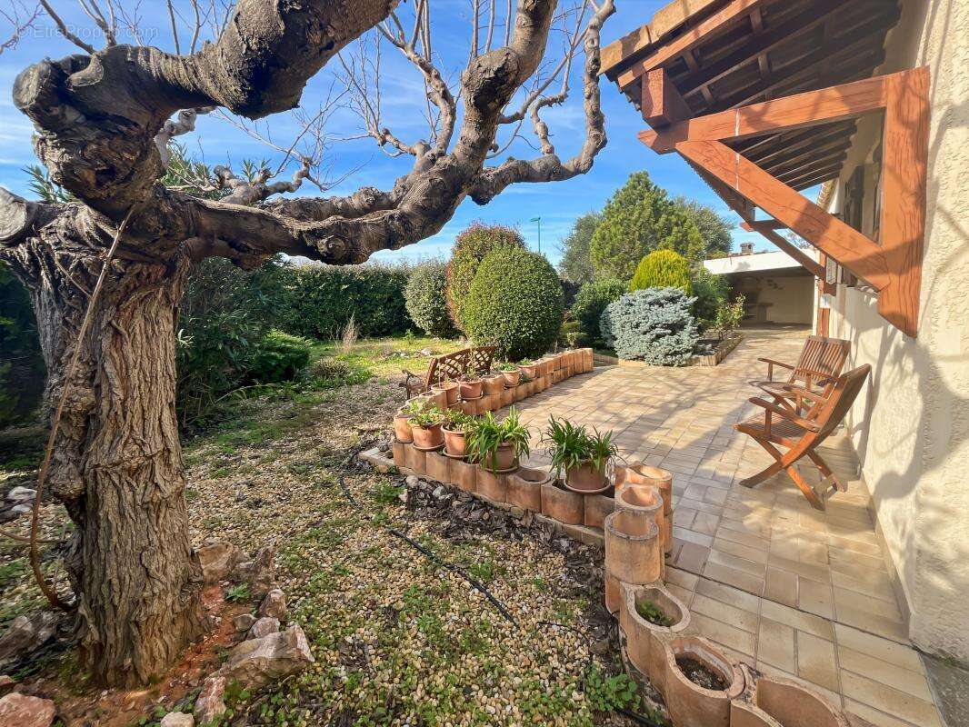 Maison à CASTELNAU-DE-GUERS