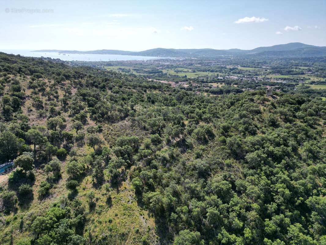 Terrain à GRIMAUD