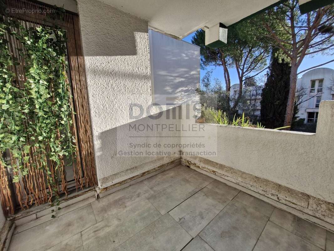 Appartement à MONTPELLIER