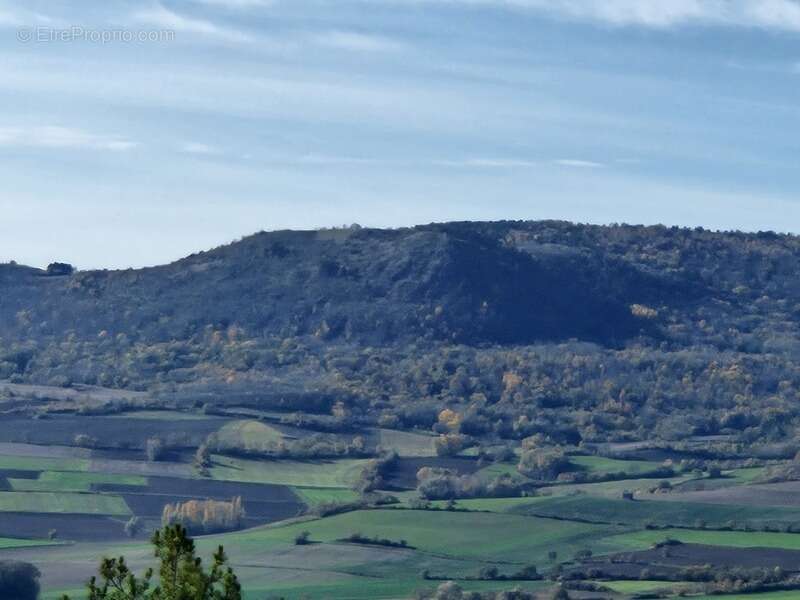 Terrain à VEYRE-MONTON