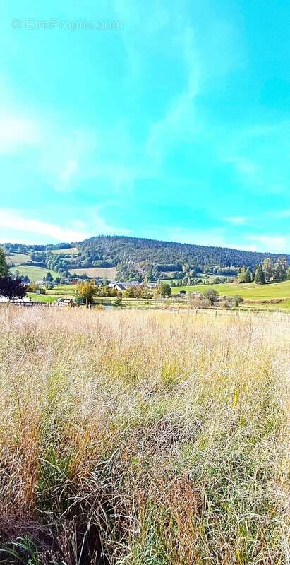 Terrain à CORRENCON-EN-VERCORS
