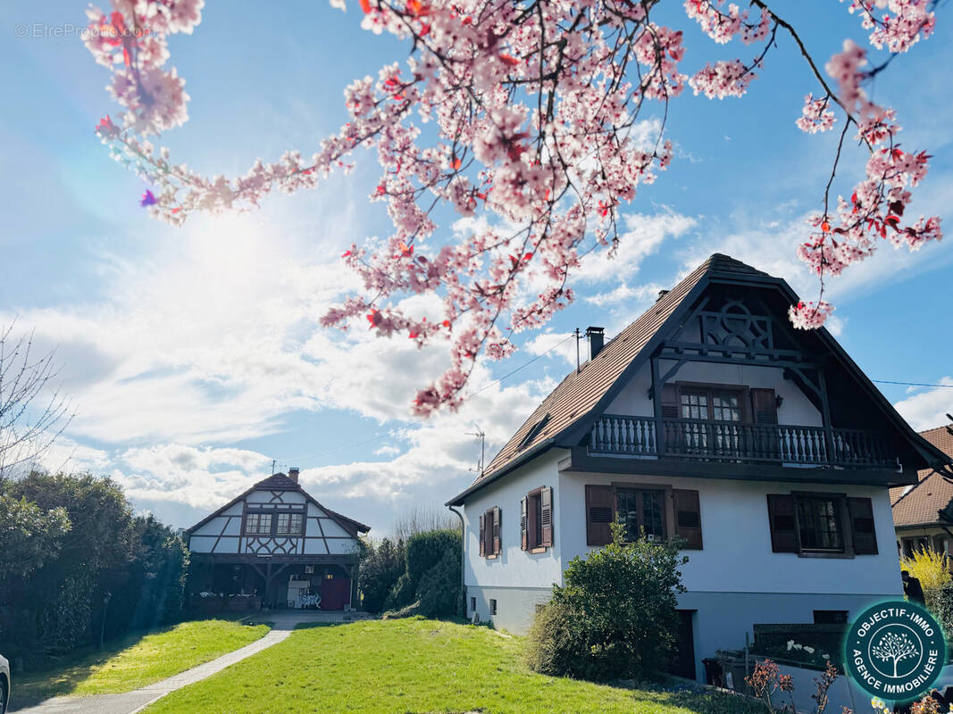 Maison à MELSHEIM