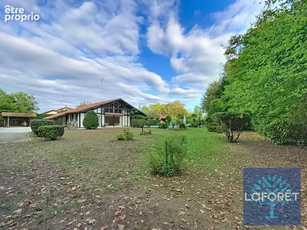 Narrosse - landaise de charme avec piscine sur un terrain arboré - photo 17