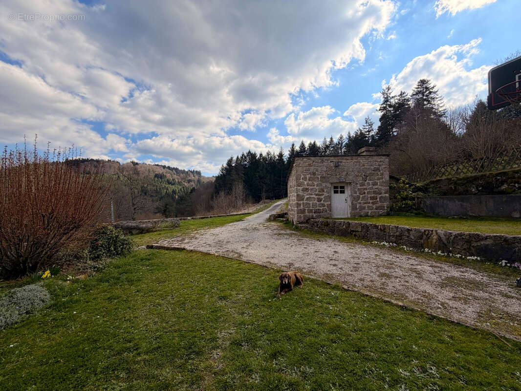 Maison à TENCE