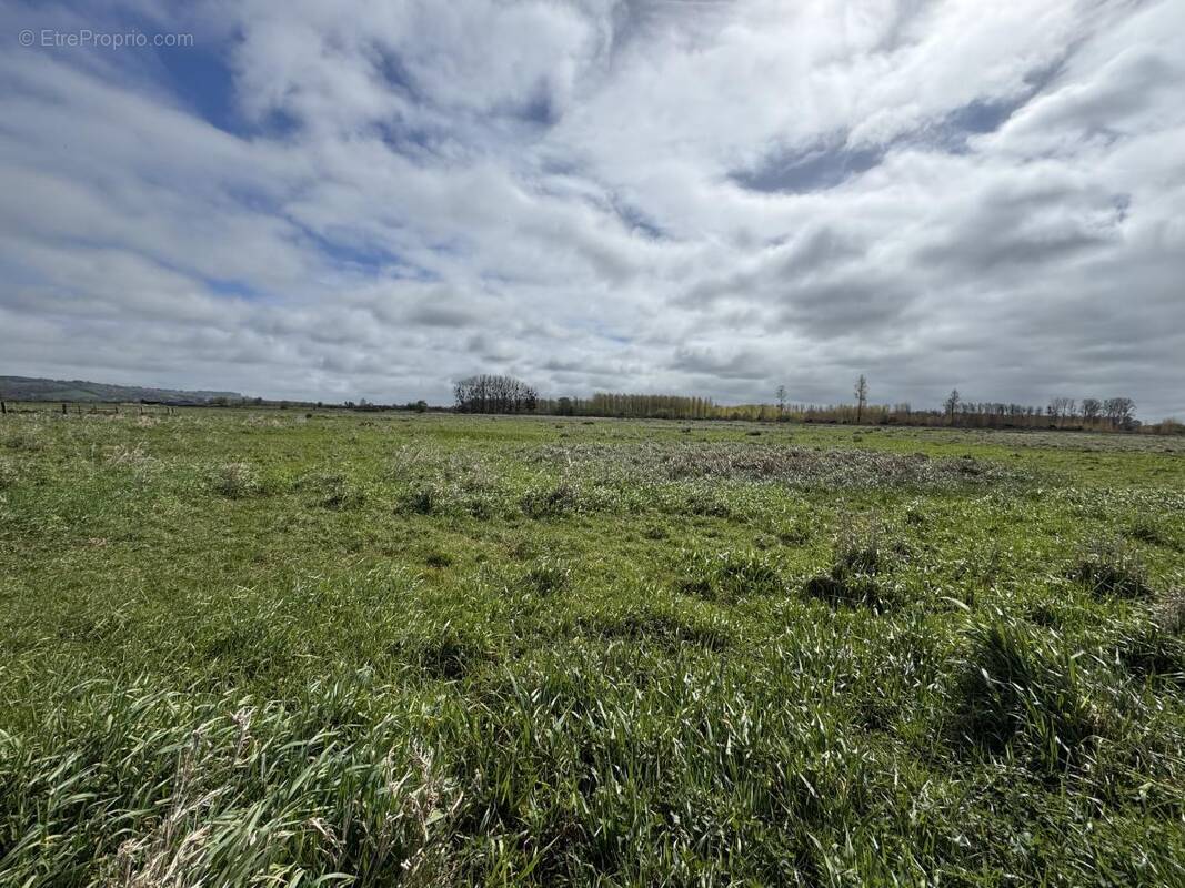 Terrain à HOTOT-EN-AUGE