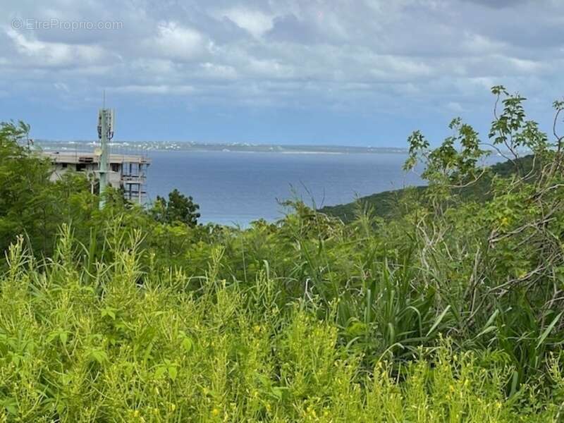 Terrain à SAINT-MARTIN