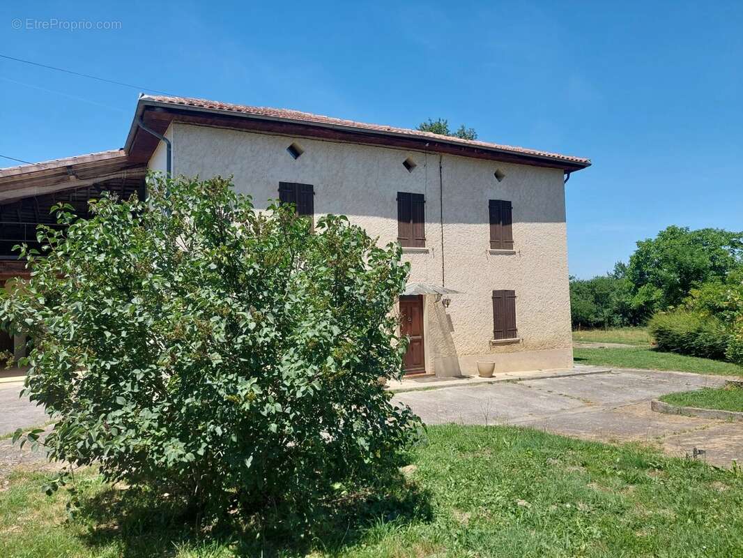 Maison à MONTESQUIEU-VOLVESTRE