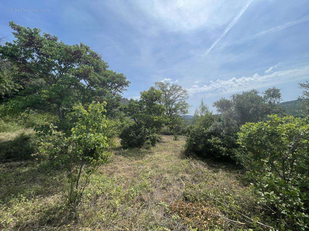 Terrain à APT