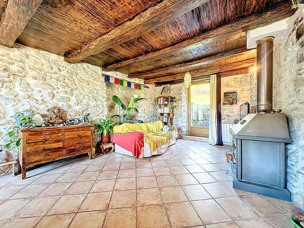 MAISON_calme_jardin_Monnetier-Mornex_lumineux_grande_luminosité_magnifique_très_belle_prestations__proche_frontière_suisse_genève_ceva_volumes_exterieur_séjour_ - Maison à MONNETIER-MORNEX