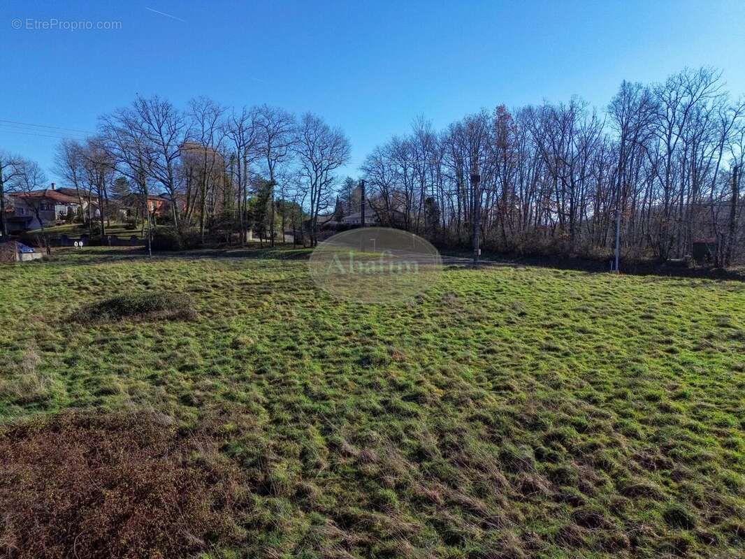 Terrain à VILLECOMTAL-SUR-ARROS