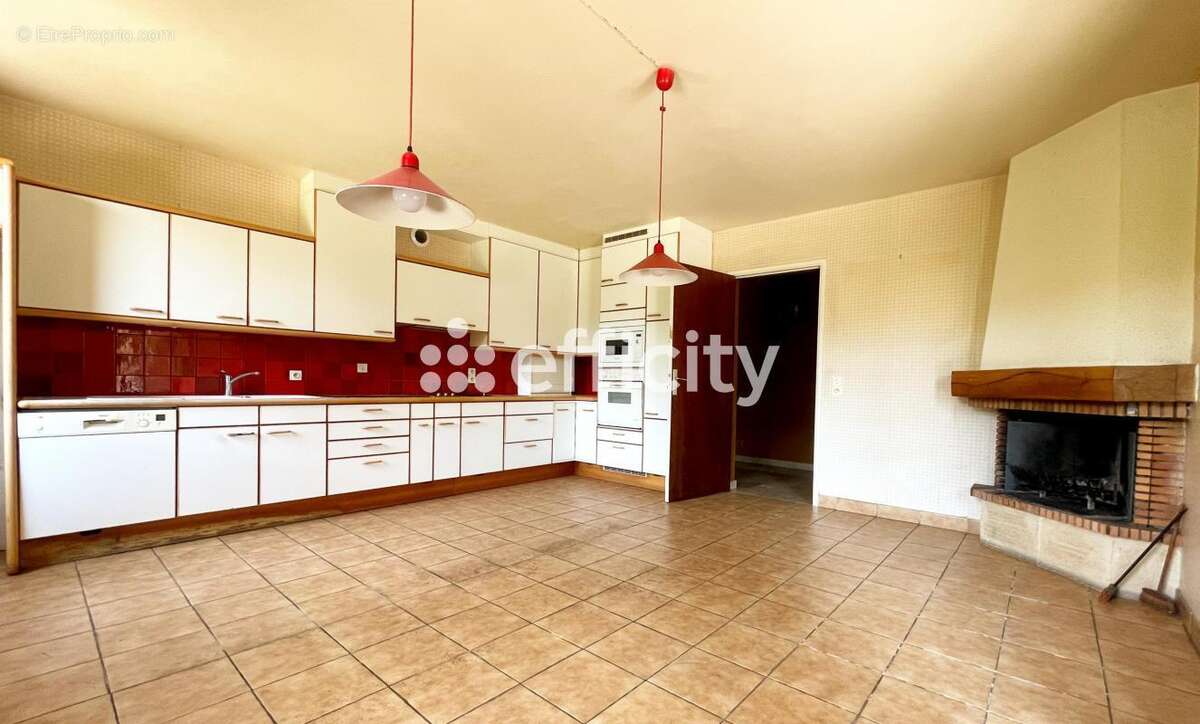 Maison 225 m² à Le Mas-D'azil  - photo 4