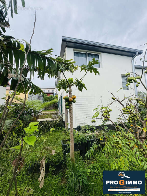 Maison 98 m² à Petite-Ile  - photo 3