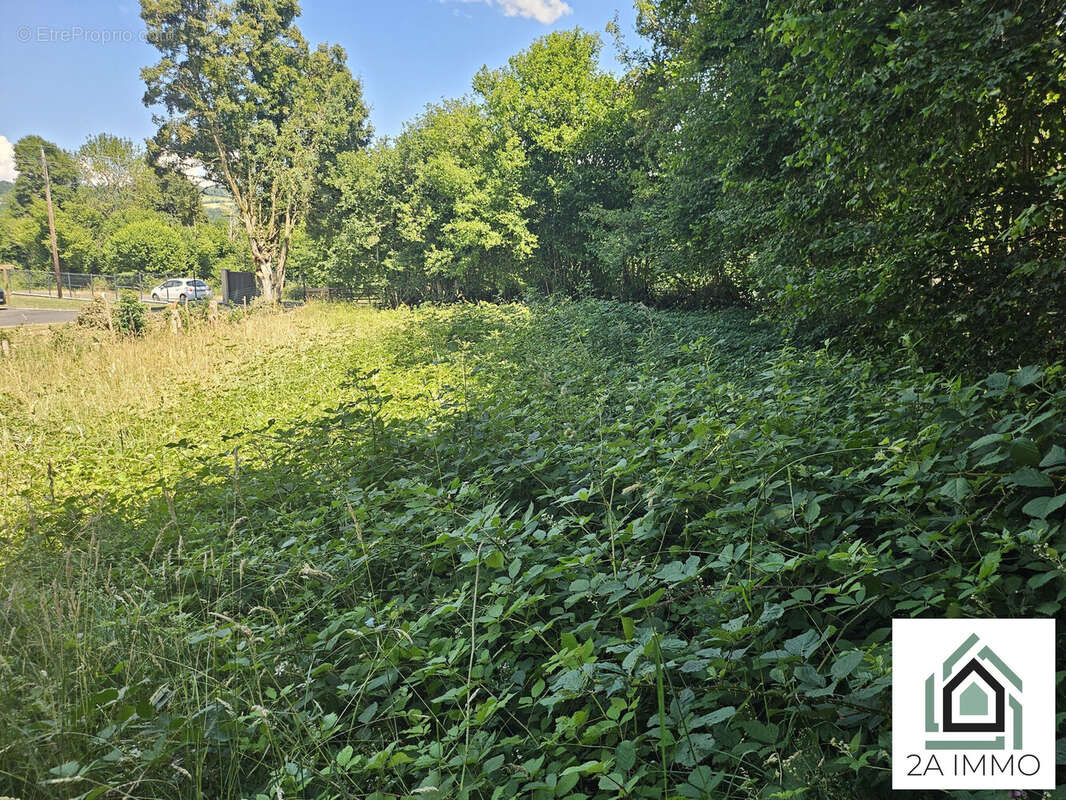 Terrain à BROMONT-LAMOTHE