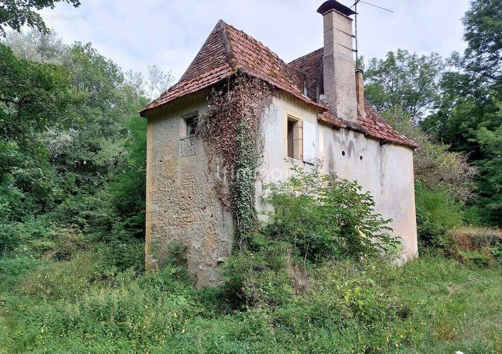 Chartreuse avec longère et moulin sur un terrain de 24086m² - photo 4