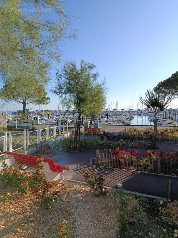 Photo 3 - Commerce à ARCACHON