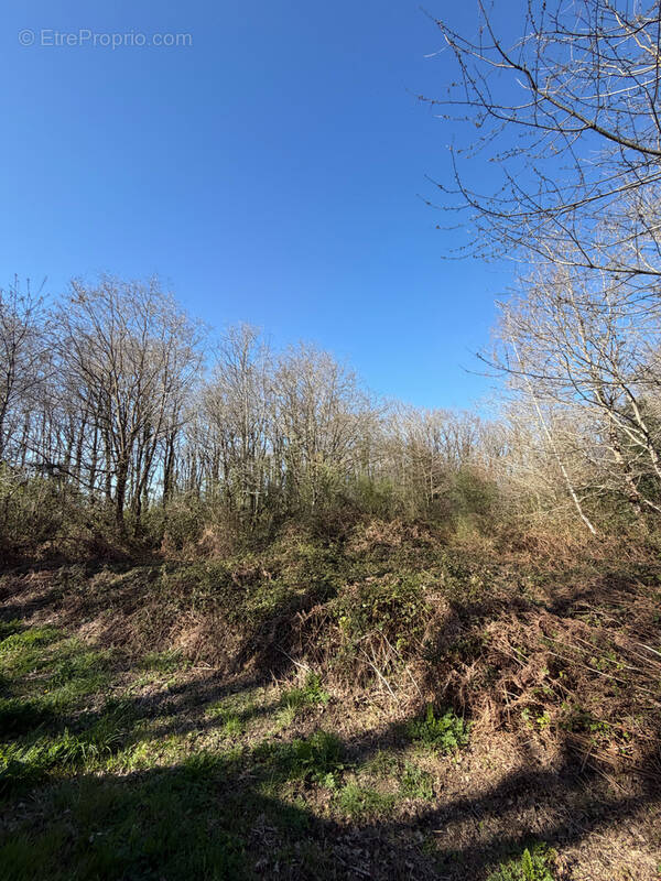 Terrain à BOIS-DE-CENE