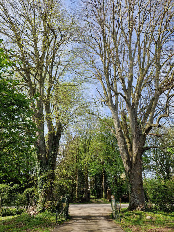 Maison à BERNAY